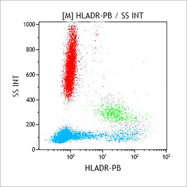 B36291_HLA-DR-PB, Immu-357, 50 Tests, CE